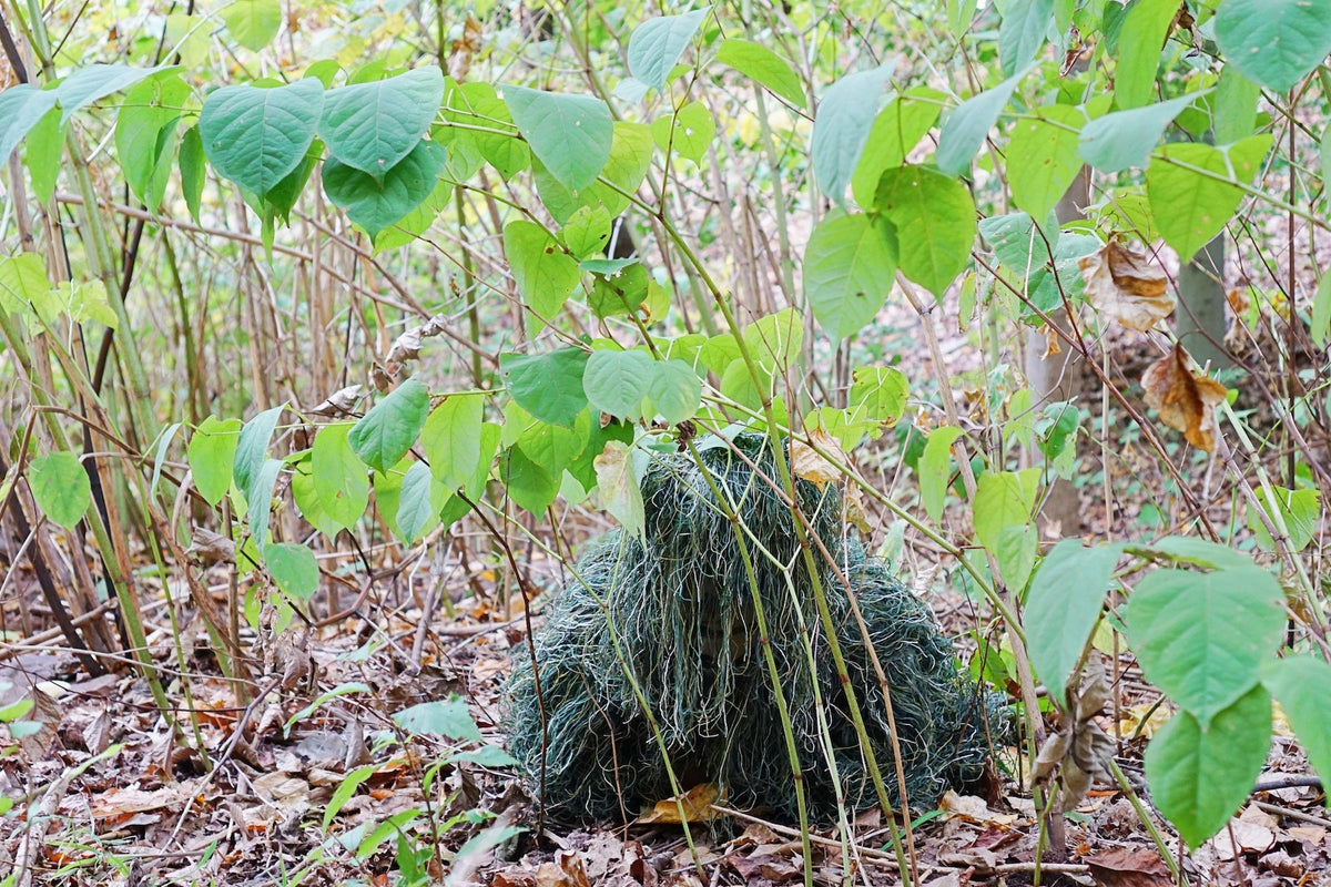 Men's Complete Woodland Ghillie Suit with Head Cover and Carry Bag