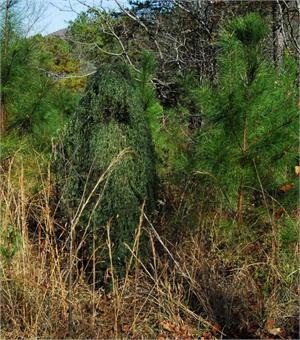Men's One Piece Ghillie Poncho with Attached Hood and Sleeves