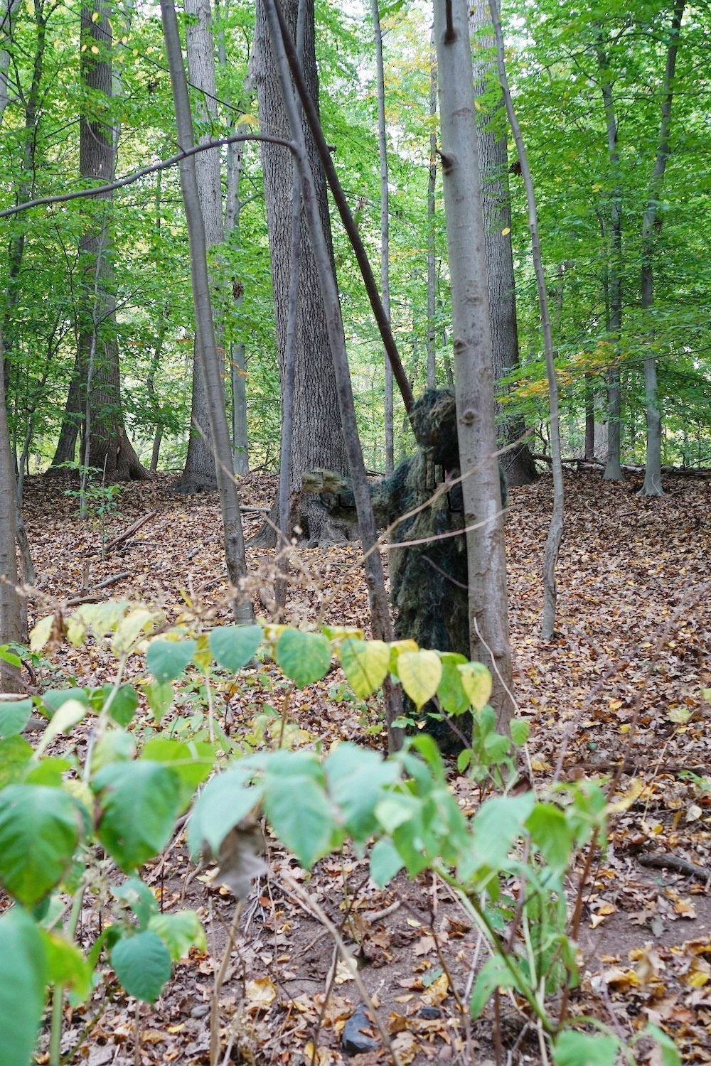 Men's Woodland Camo Ghillie Suit with Rifle Wrap and Carry Bag